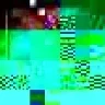 shunt