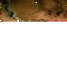 DMopheus