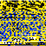 Eichhorn