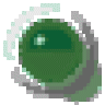 Koko