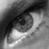 oxyde