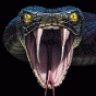 acki105