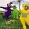 Goldjunge