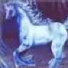 Horselove