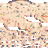 Zet0r