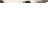 FeliX_22