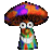 TomNovy