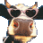 MupdiKuh