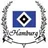 hsvscorer